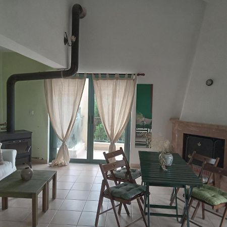 The White Rabbit Guesthouse Eco-Lodge "Cosy Apartment" Pszakúdia Kültér fotó