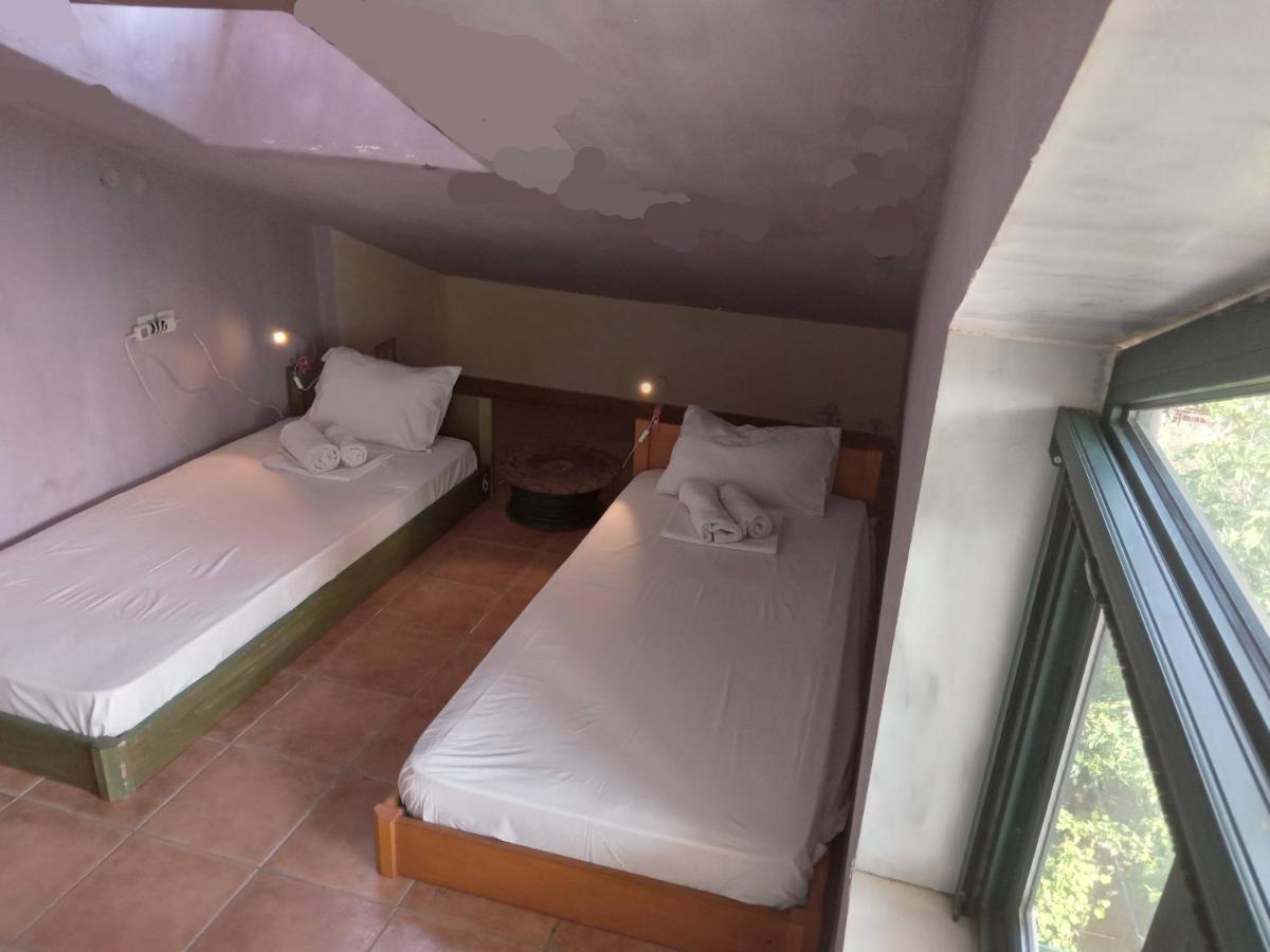 The White Rabbit Guesthouse Eco-Lodge "Cosy Apartment" Pszakúdia Kültér fotó